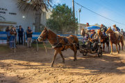 Festejo Patrio en Martín Fierro: la Municipalidad y el CEPT Nº 11 festejaron el 216 aniversario de la Revolución de Mayo