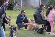 Jornada solidaria por el Día del Animal en el Refugio Municipal