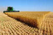 El agro celebra la baja de retenciones, pero advierte sobre especulaciones en la liquidación
