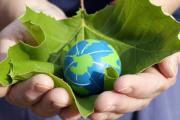 Celebran el Día Mundial del Ambiente con una Jura de Compromiso Ambiental