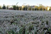 El invierno ya se hace sentir en Nueve de Julio con fuertes heladas