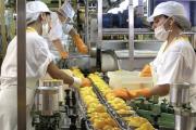 ARCA reglamentó el blanqueo laboral: cómo funciona el nuevo régimen