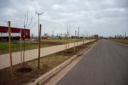El Municipio realizó tareas de forestación en el parque lineal de la ampliación urbana