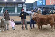 “De Paul” en Palermo: los primeros animales ya están en la Expo Rural