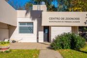 El Centro de Zoonosis Municipal realizó más de 1.000 castraciones