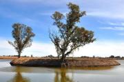 Avanza la conformación del lago del Parque San Martín en Casares