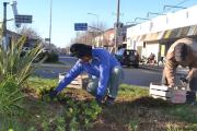 El Municipio continúa con la puesta en valor de los espacios verdes