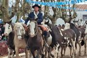 Un productor de Irala ganó el primer premio en el Concurso del Chorizo Seco