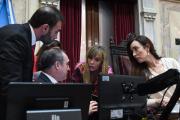 El Senado nacional sesiona para tratar lo que queda de la ley de propiedad privada