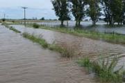 Inundaciones: declaran la emergencia agropecuaria en Nueve de Julio