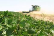Estiman que El Niño podría generar U$S 4.000 millones adicionales a la cosecha