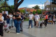 Gran participación en la jornada de cuidado responsable de las mascotas