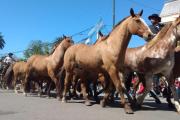 Fiesta del Caballo: la organización reveló nuevos detalles del tradicional desfile