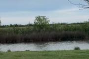 Pehuajó proyecta una reserva ecológica urbana junto a un reservorio de agua