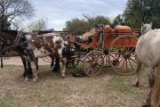 Jinetes de Navarro desafían el temporal para llegar a la Fiesta del Caballo