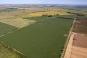 Impulsan ley para limitar la venta de tierras a extranjeros en Buenos Aires