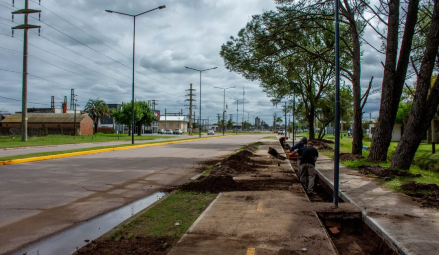 Canteros drenantes: el innovador sistema que impulsa el municipio de Trenque Lauquen